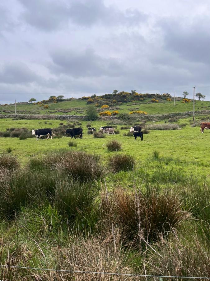 Lacken Farmyard Kilmihil Exteriér fotografie