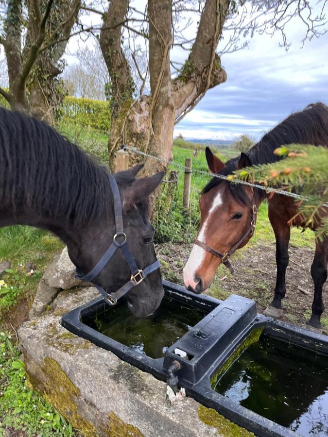 Lacken Farmyard Kilmihil Exteriér fotografie